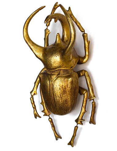 KARE dekoracja ścienna ATLAS BEETLE złota