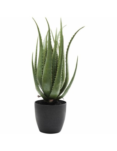 KARE roślina dekoracyjna ALOE 69 cm