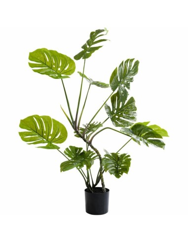 KARE roślina dekoracyjna MONSTERA 110 cm