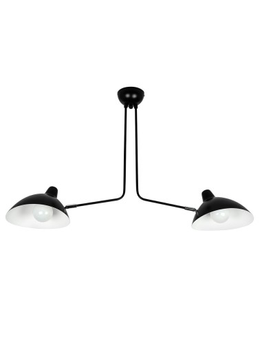 Lampa wisząca RAVEN 2